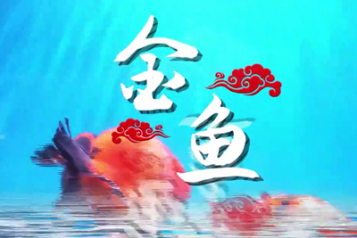 金魚歡躍，流光溢彩！_400.jpg